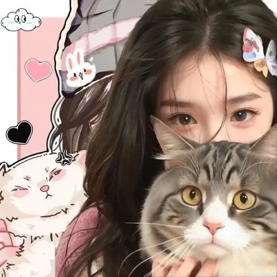 如果历史是一群喵第一季